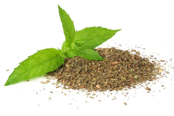 تصویر 4 از نعنا فلفلی خشک فله تازه با عطر قوی و رایحه طبیعی